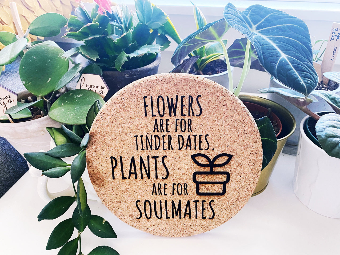 Plant Coaster - Plant Lover - Furniture Protector -Funny