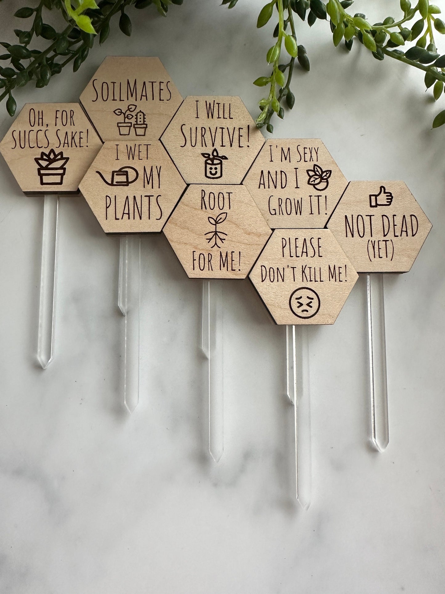 PLANT PUN - Plant Markers -  Wood and Acrylic - Laser Engraved - Funny